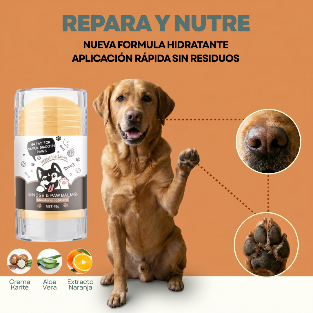 Pawchito Paw Repair